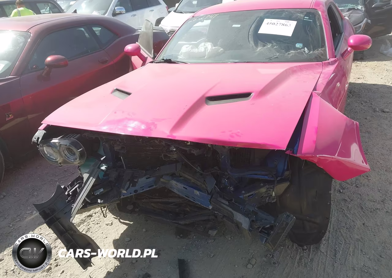 2019 Dodge Challenger Sxt VIN:2C3CDZAG1KH574806 - 12