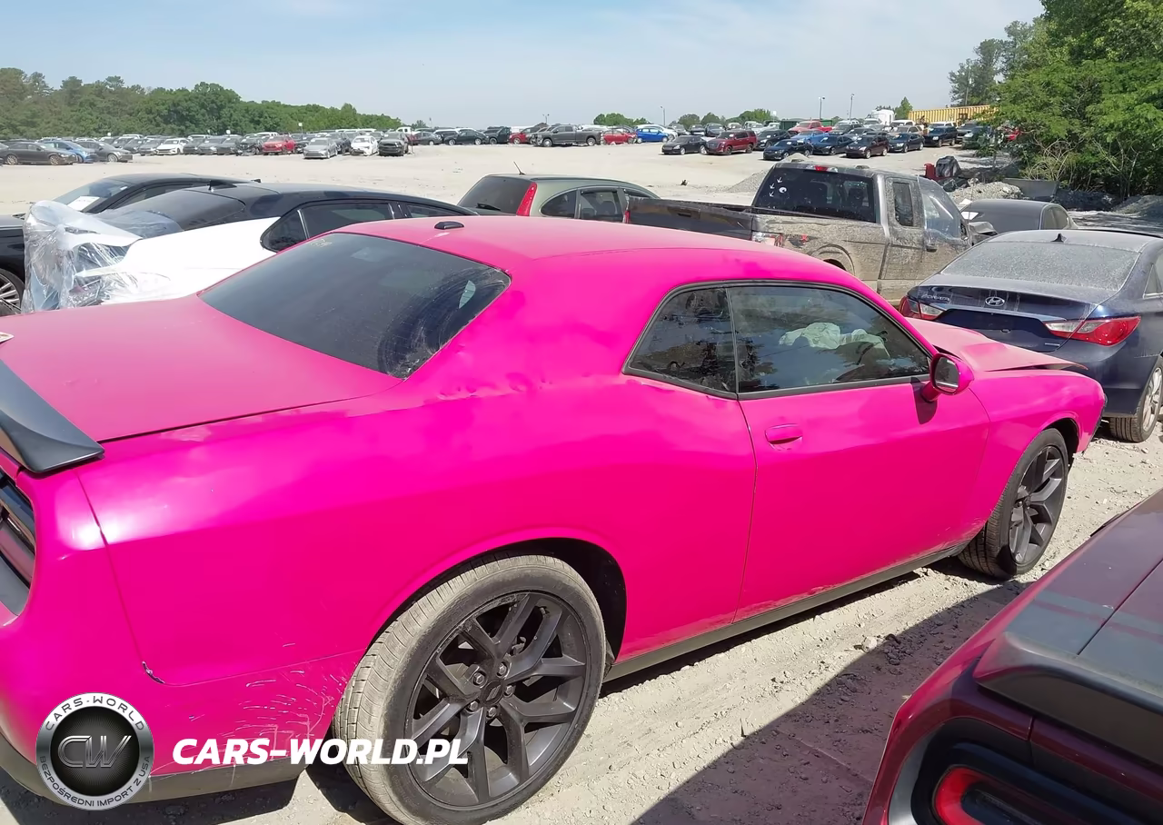 2019 Dodge Challenger Sxt VIN:2C3CDZAG1KH574806 - 13