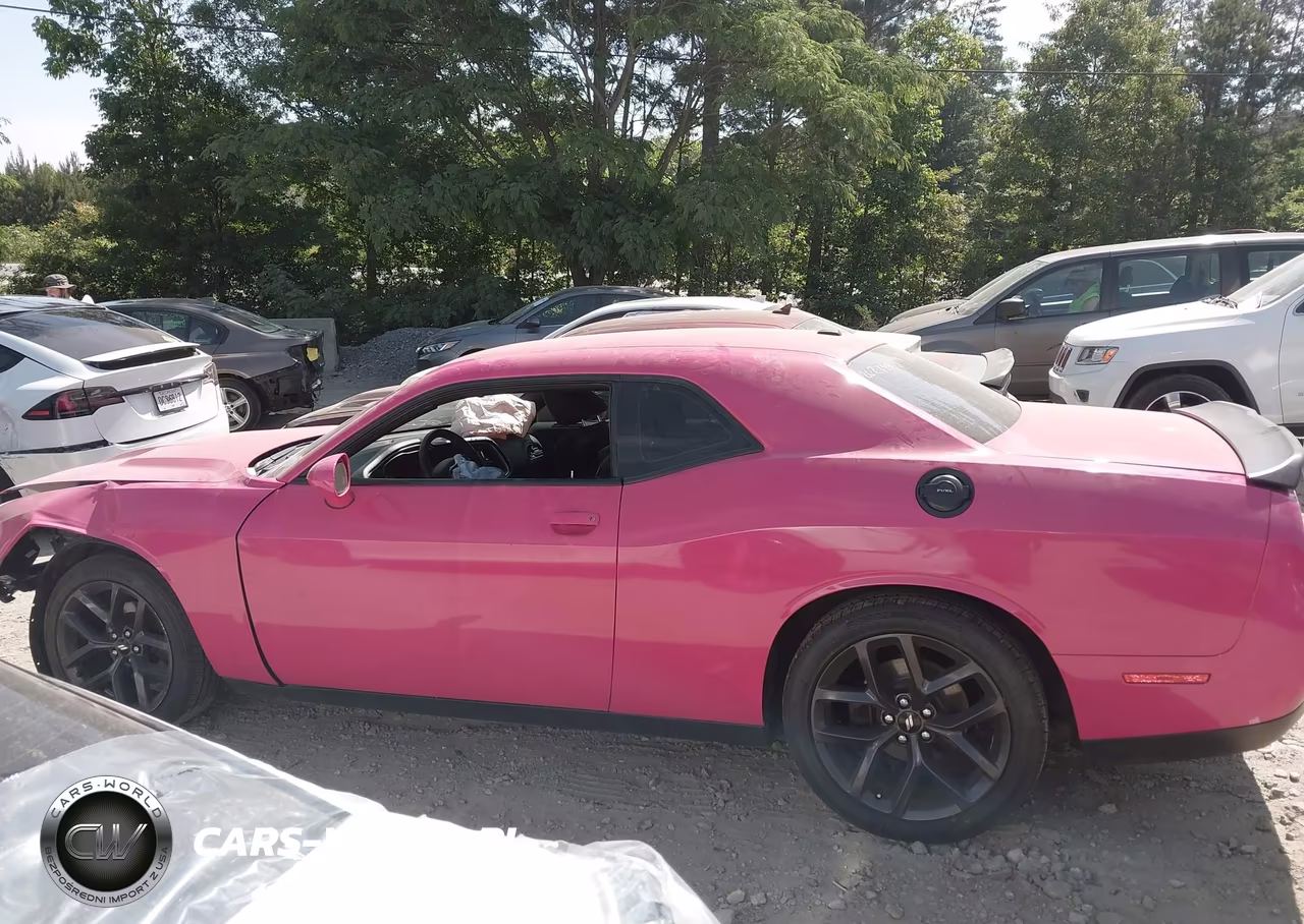 2019 Dodge Challenger Sxt VIN:2C3CDZAG1KH574806 - 14