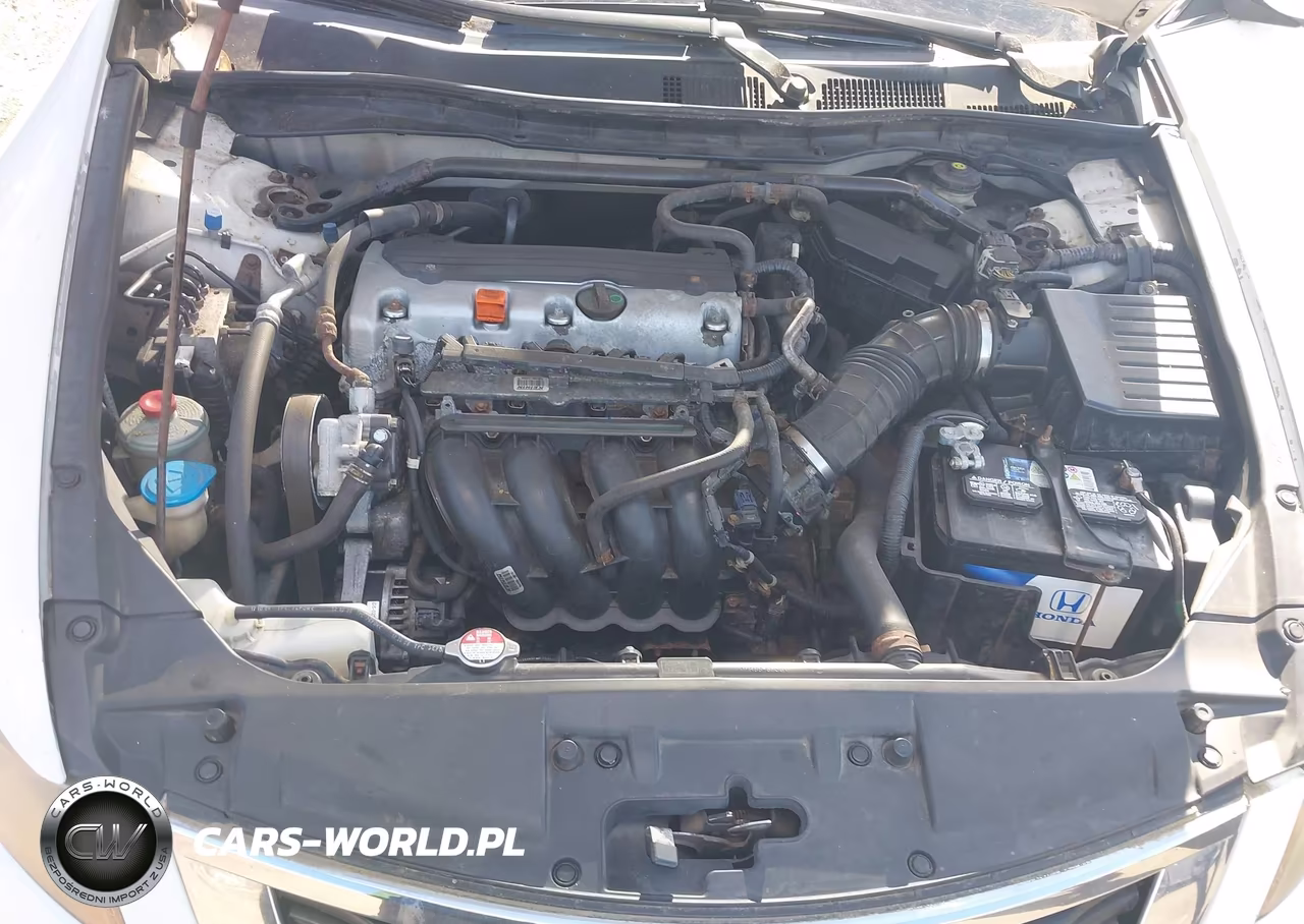 2010 Honda Accord 2.4 Ex VIN:1HGCP2F73AA081081 - 10