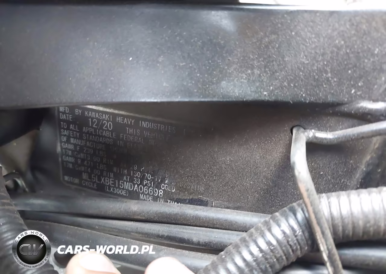 2021 Kawasaki Klx300 E VIN:ML5LXBE15MDA06698 - 10