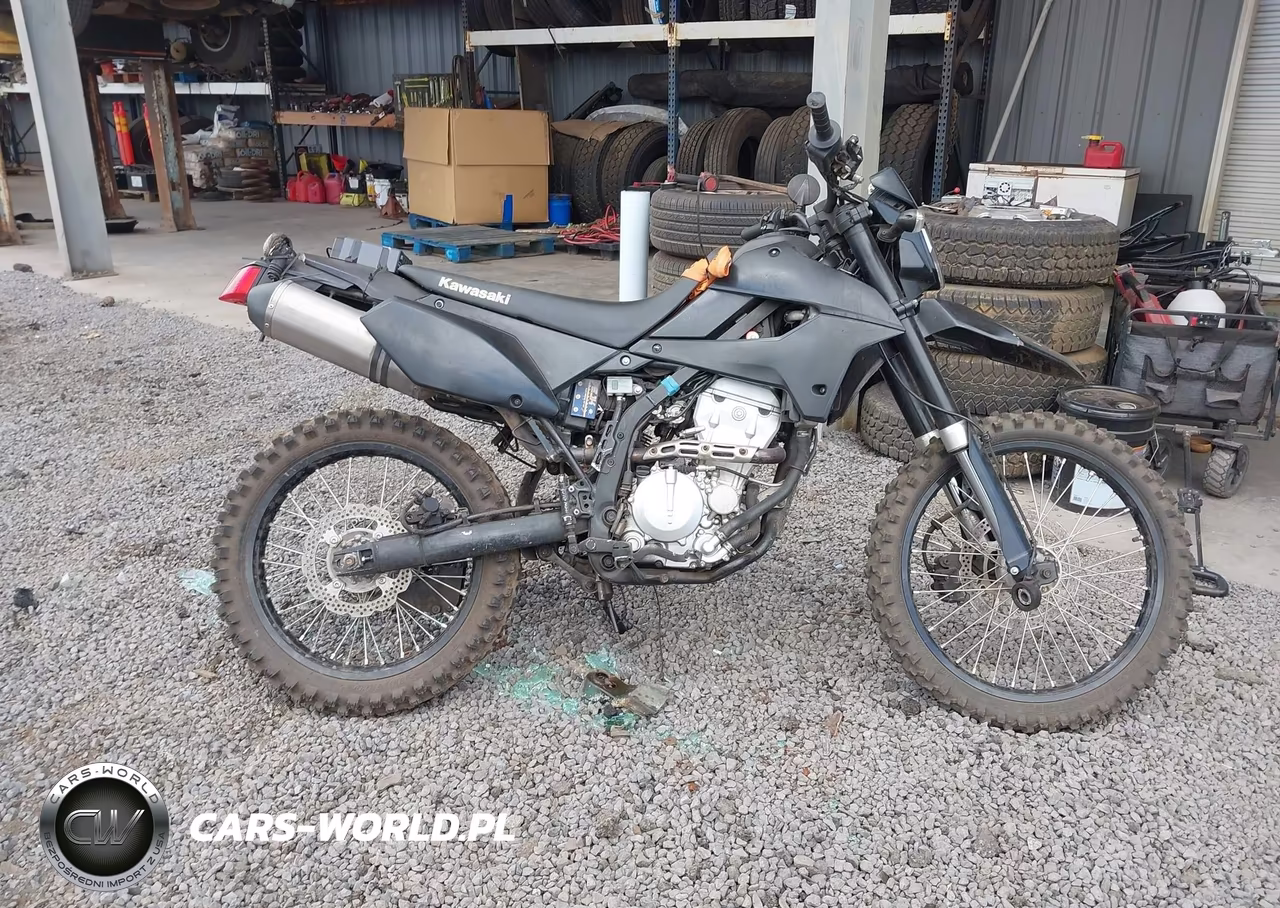 2021 Kawasaki Klx300 E VIN:ML5LXBE15MDA06698 - 11