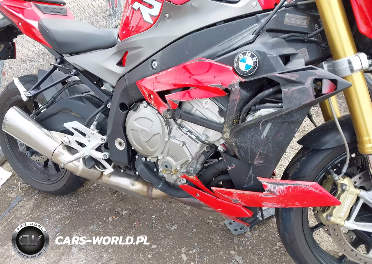 2016 BMW S 1000 R VIN:WB10D1207GZ696530 - 8