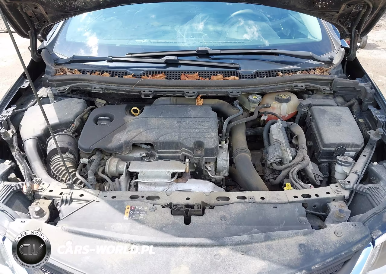 2019 Chevrolet Cruze Diesel VIN:1G1BJ5SM8K7100031 - 10