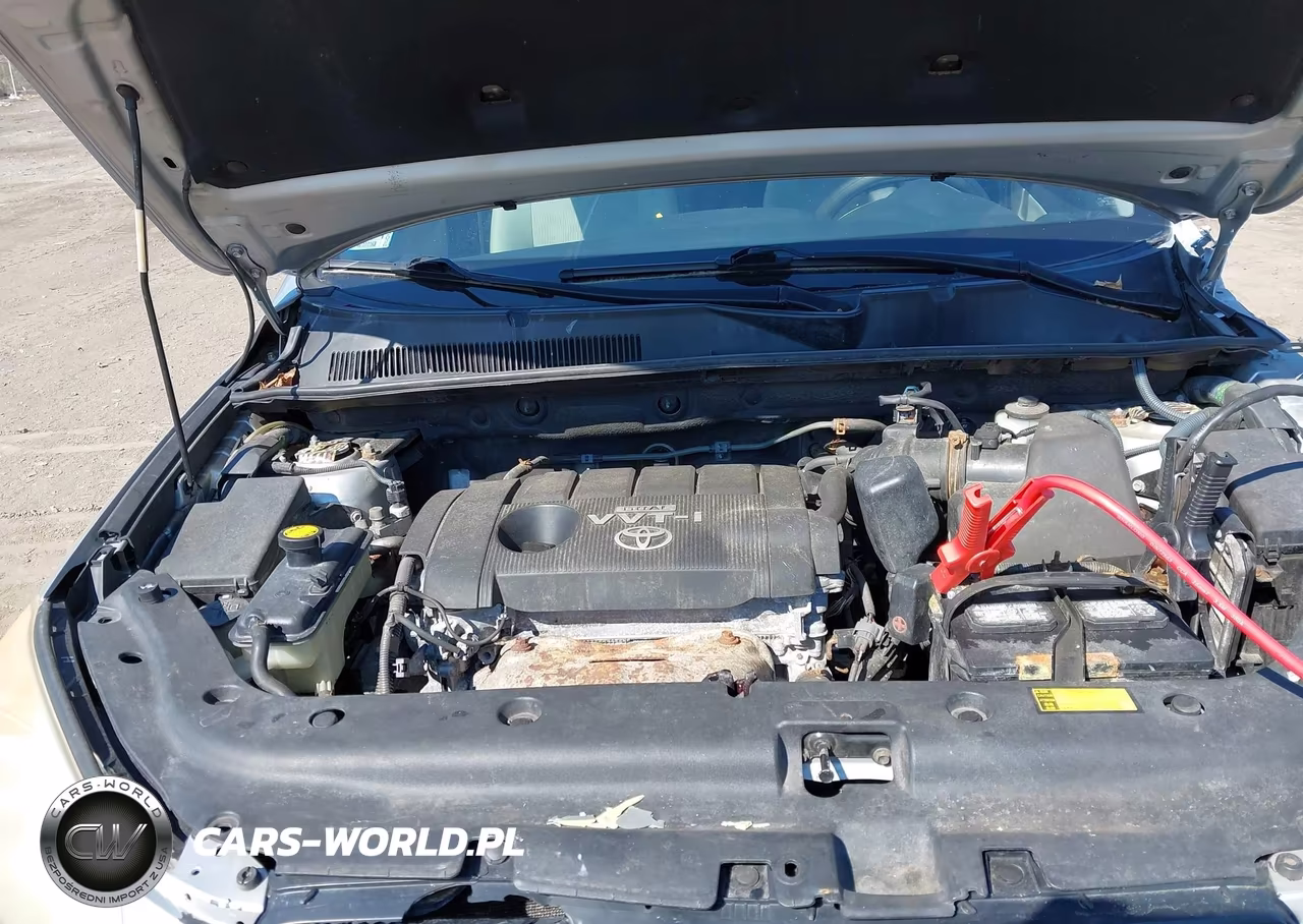 2009 Toyota Rav4 VIN:JTMBF33V995004256 - 10