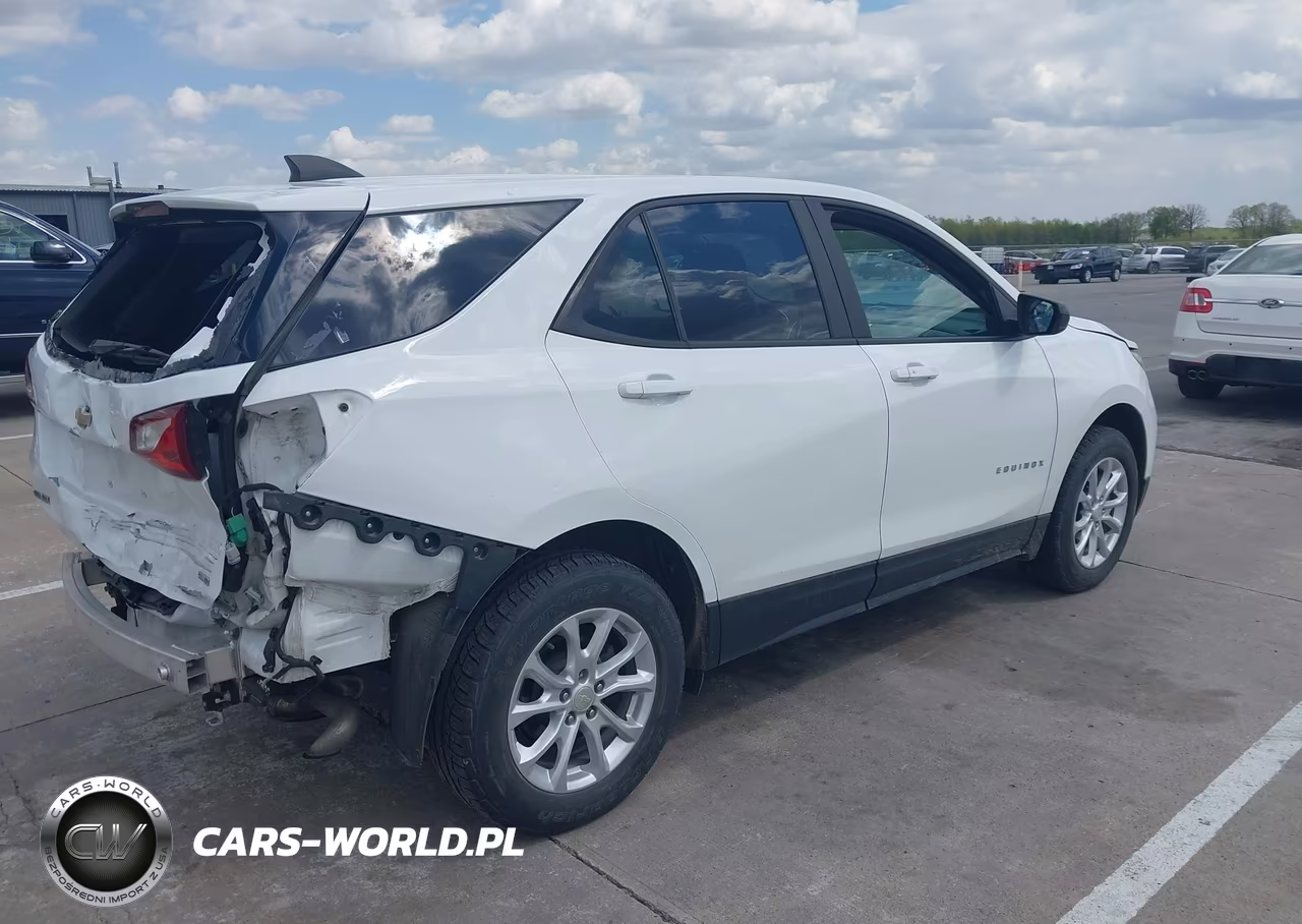 2020 Chevrolet Equinox Ls VIN:3GNAX5EV4LS692057 - 4