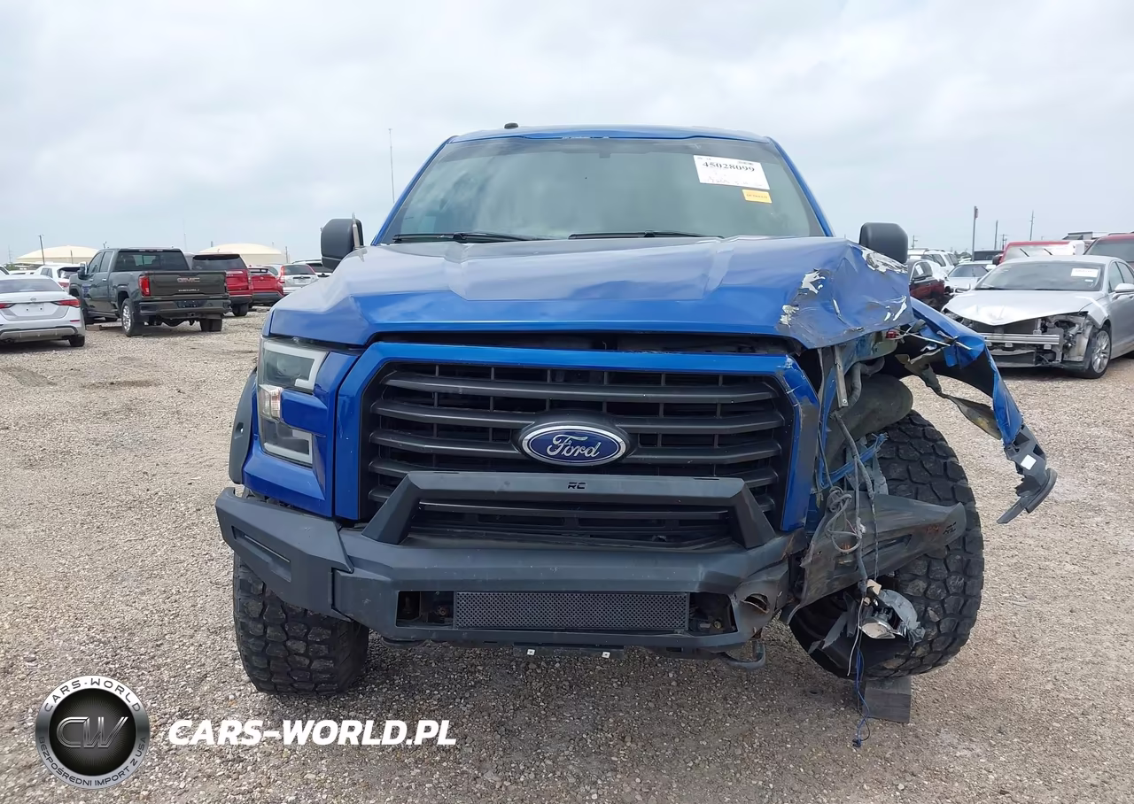 2017 Ford F-150 Xl VIN:1FTEW1EP3HKD91676 - 13