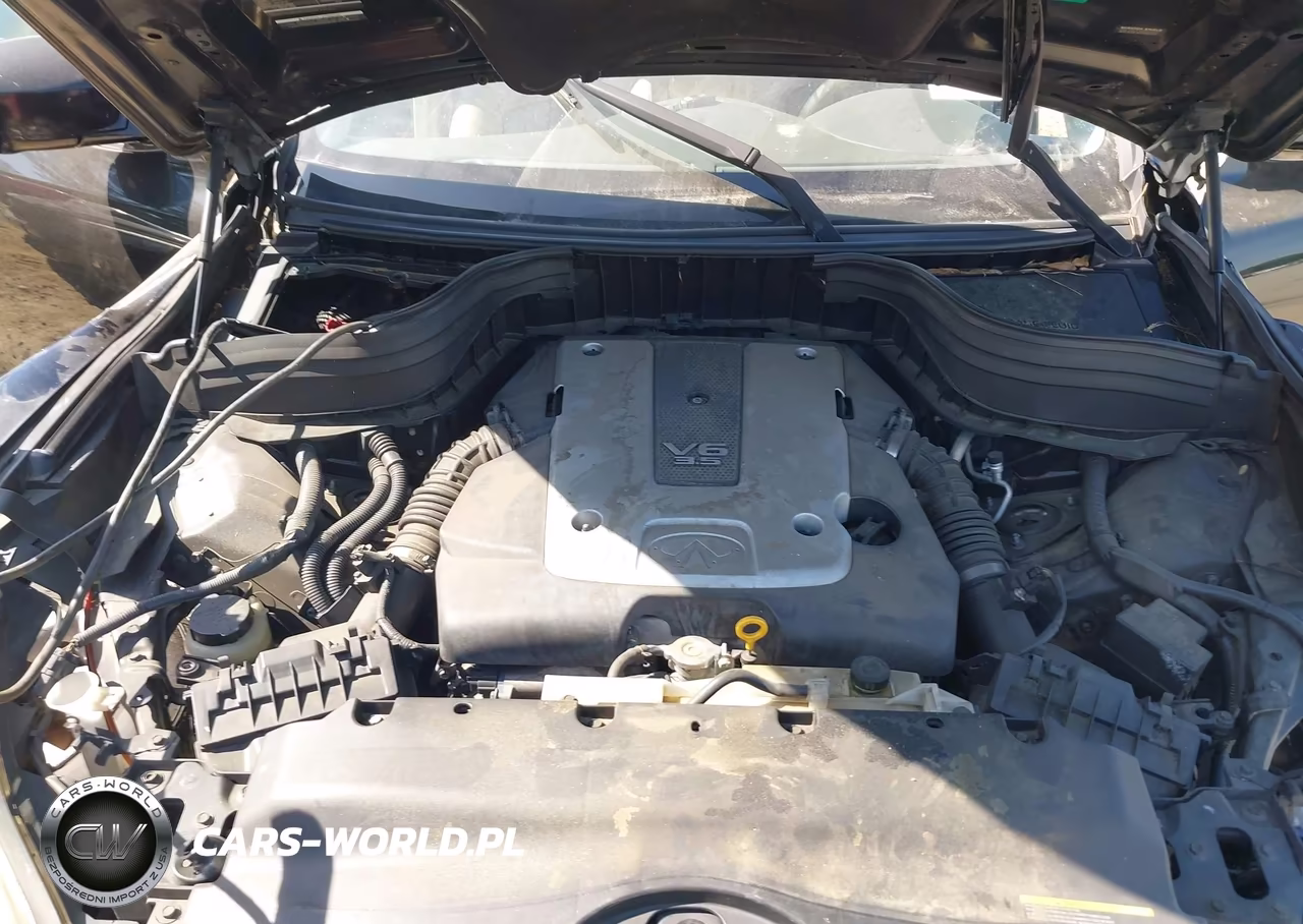 2009 Infiniti Ex35 Journey VIN:JNKAJ09E79M900690 - 10