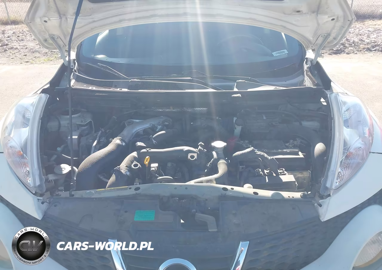 2012 Nissan Juke S VIN:JN8AF5MR0CT116976 - 10