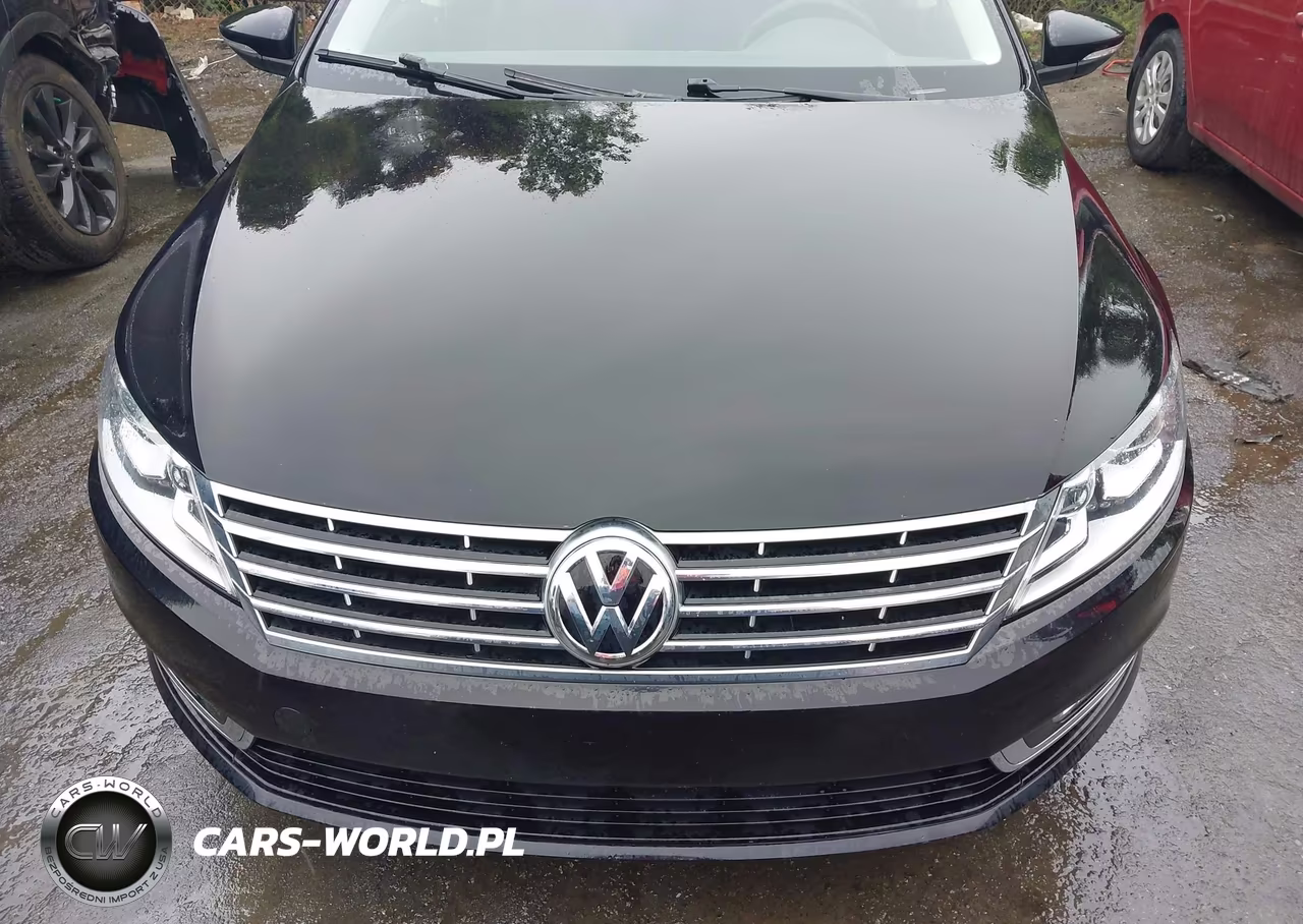 2013 Volkswagen Cc 2.0T Sport VIN:WVWBN7AN8DE544218 - 13