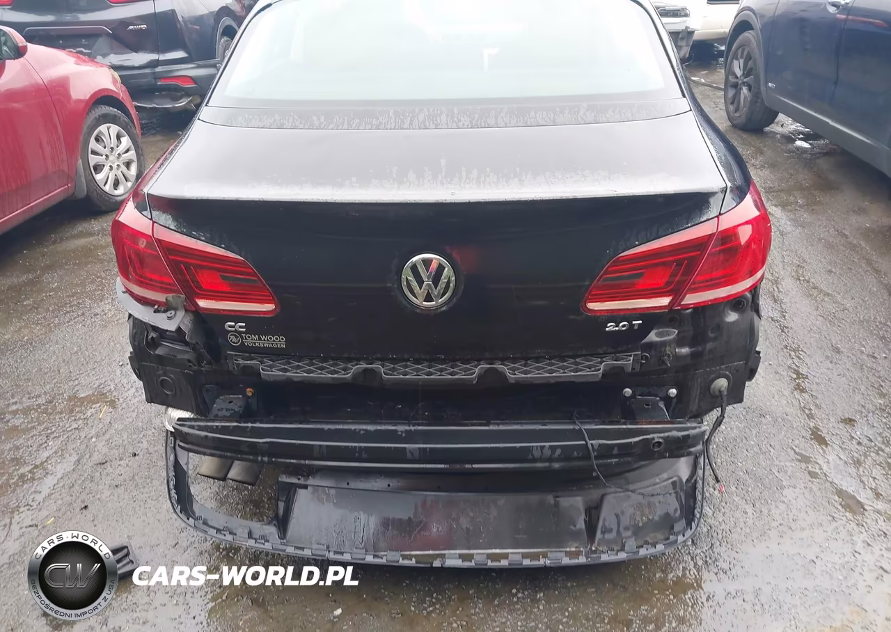 2013 Volkswagen Cc 2.0T Sport VIN:WVWBN7AN8DE544218 - 17