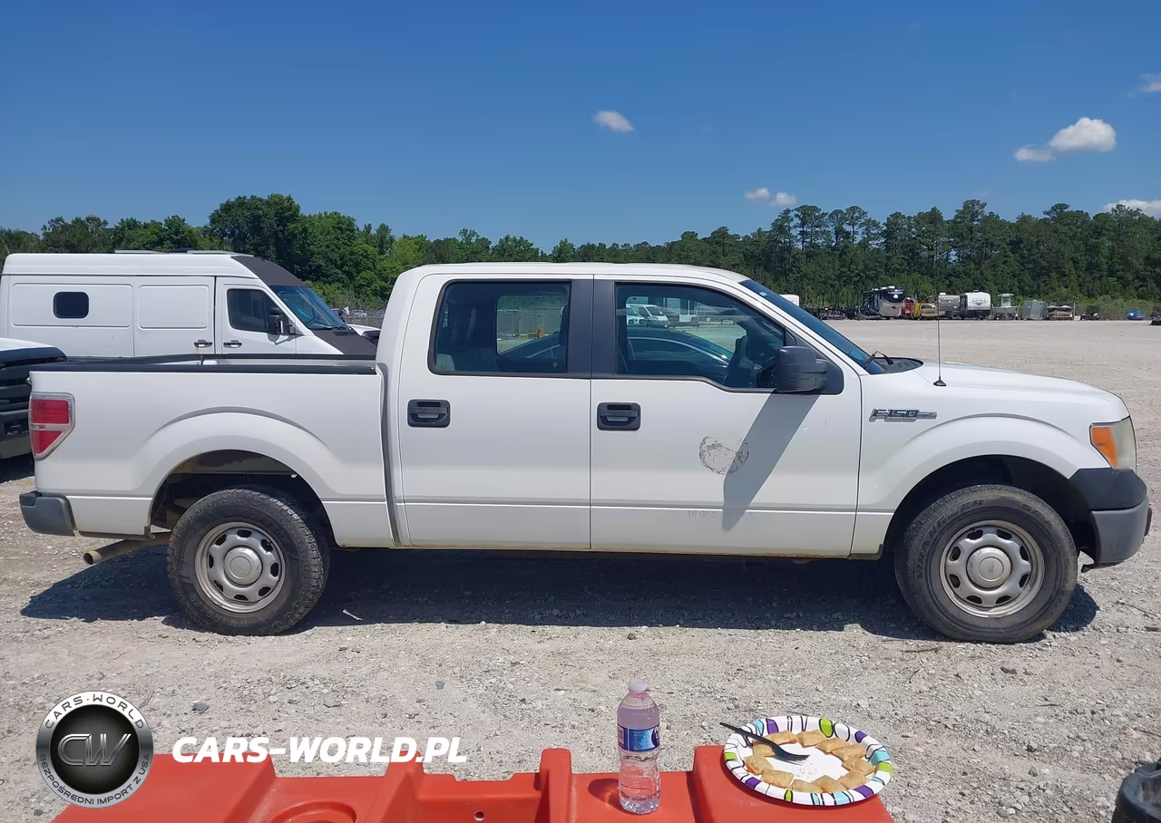 2014 Ford F-150 Xl VIN:1FTEW1CM8EFA32644 - 13