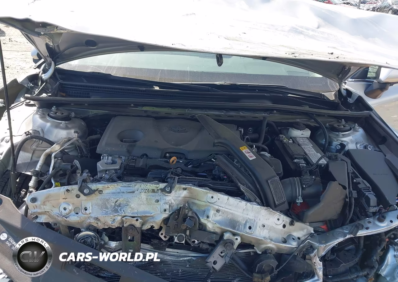 2024 Toyota Camry Le VIN:4T1R11AK3RU254801 - 10