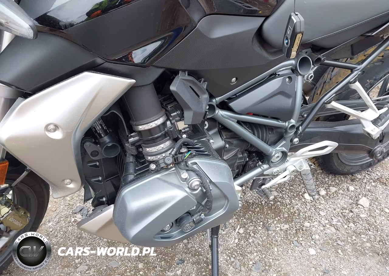 2024 BMW R 1250 R VIN:WB10M7305R6J08565 - 9