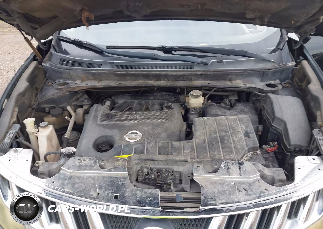 2009 Nissan Murano S VIN:JN8AZ18W89W138683 - 10
