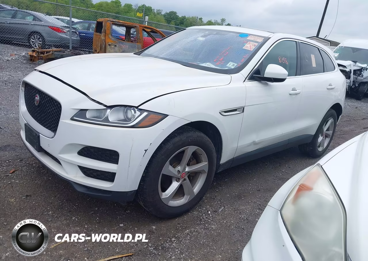 2020 Jaguar F-Pace Premium P250 Awd Automatic VIN:SADCJ2FX5LA655297 - 2