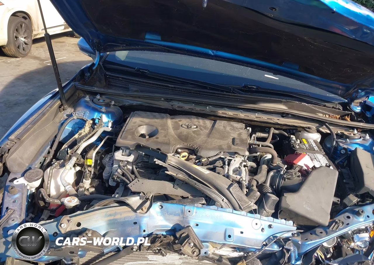 2019 Toyota Camry Xse VIN:4T1B61HK5KU212354 - 10