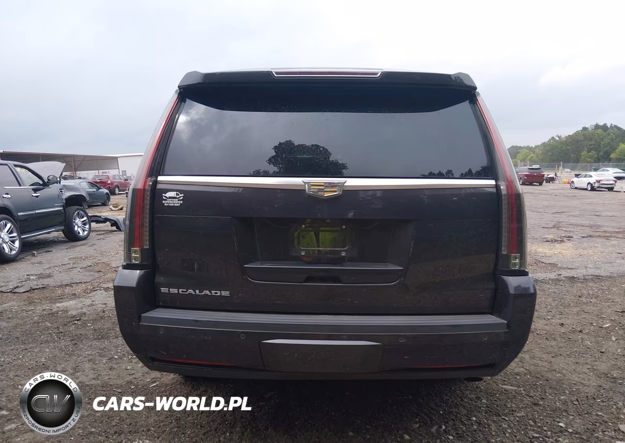 2015 Cadillac Escalade Esv Premium VIN:1GYS4TKJ2FR536094 - 17