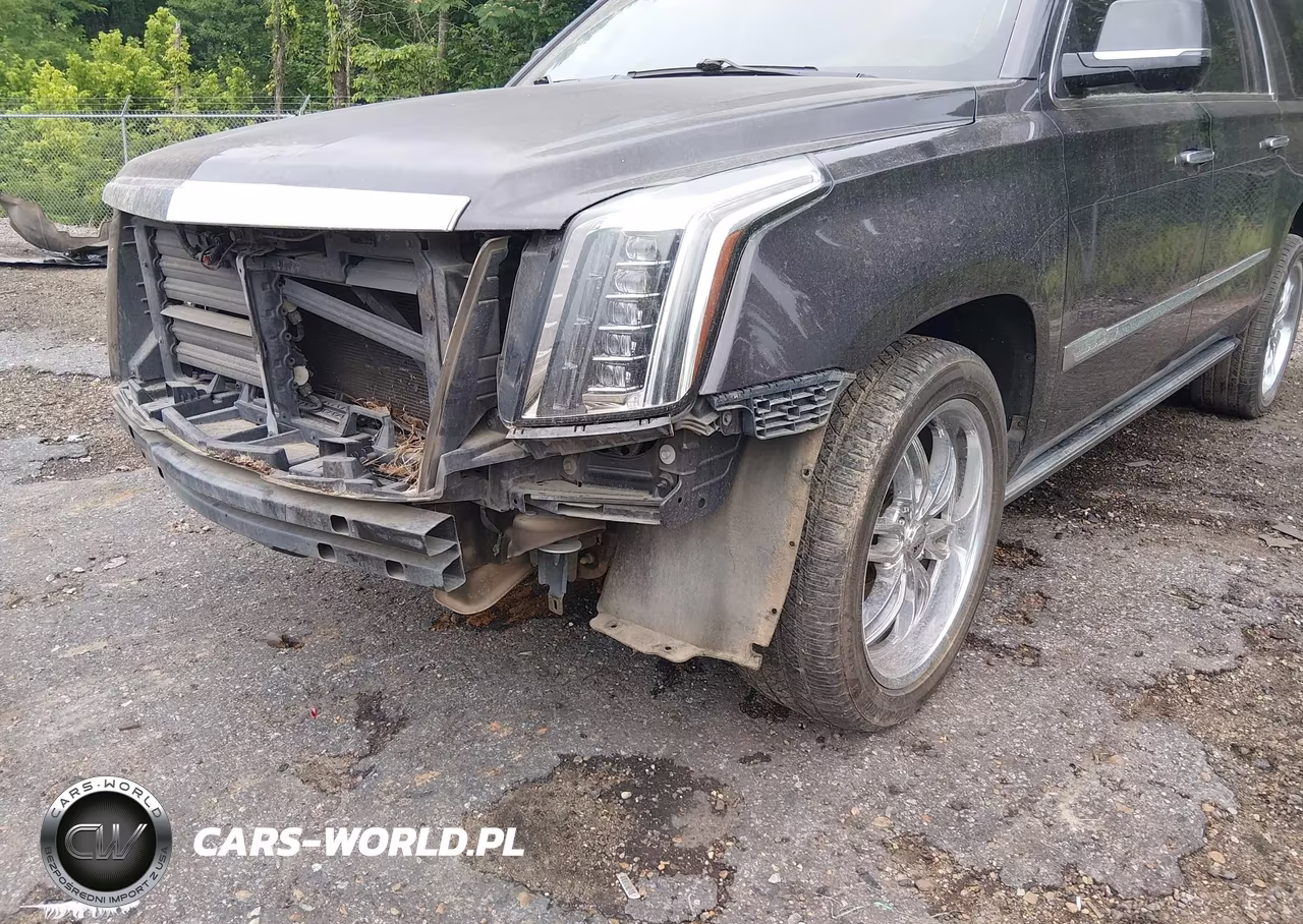 2015 Cadillac Escalade Esv Premium VIN:1GYS4TKJ2FR536094 - 19