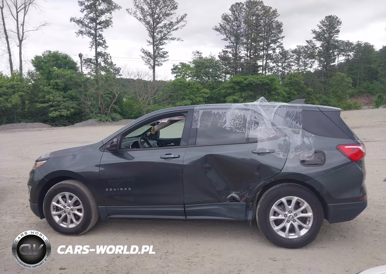 2019 Chevrolet Equinox Ls VIN:3GNAXSEV6KS671143 - 13