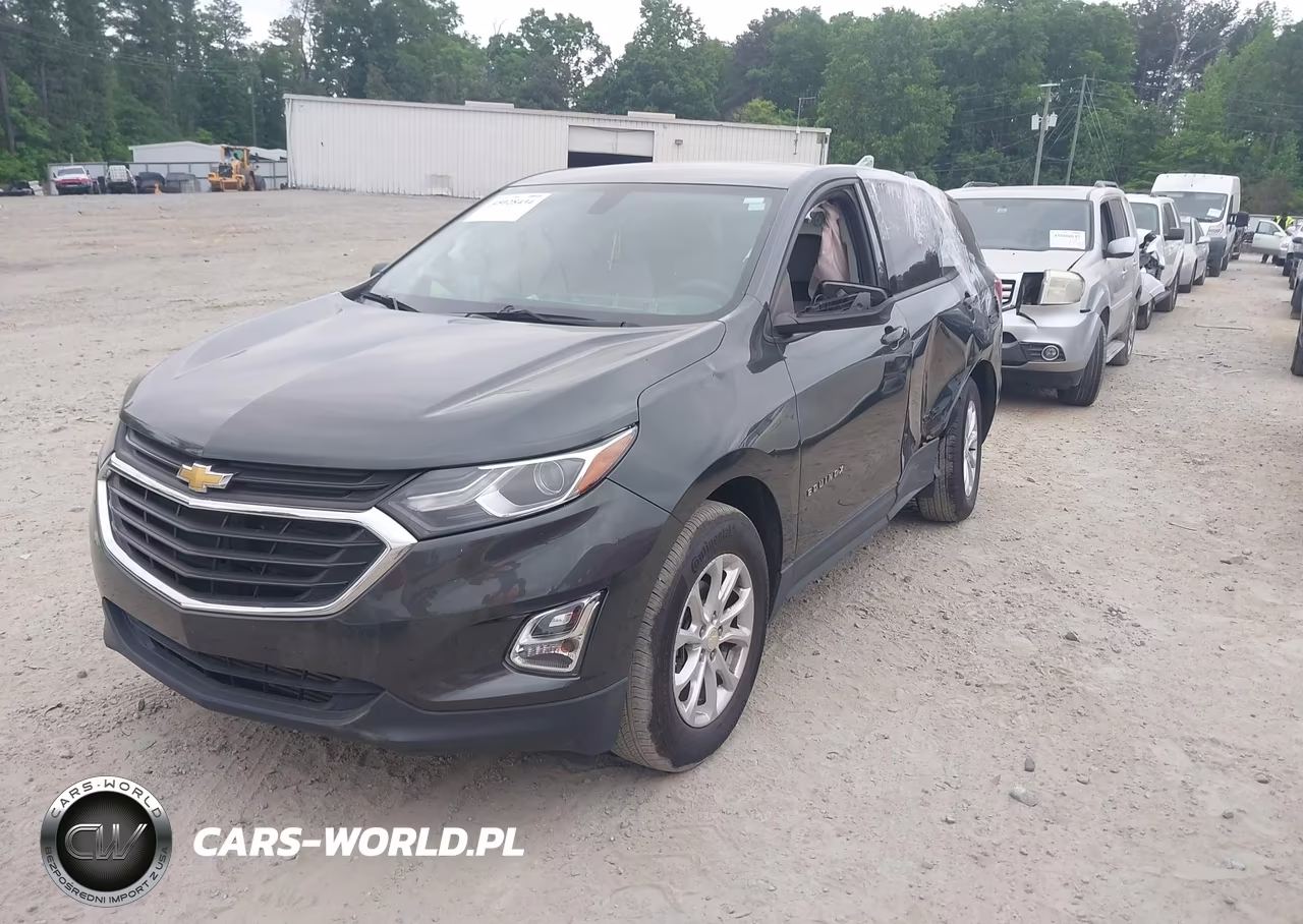 2019 Chevrolet Equinox Ls VIN:3GNAXSEV6KS671143 - 2