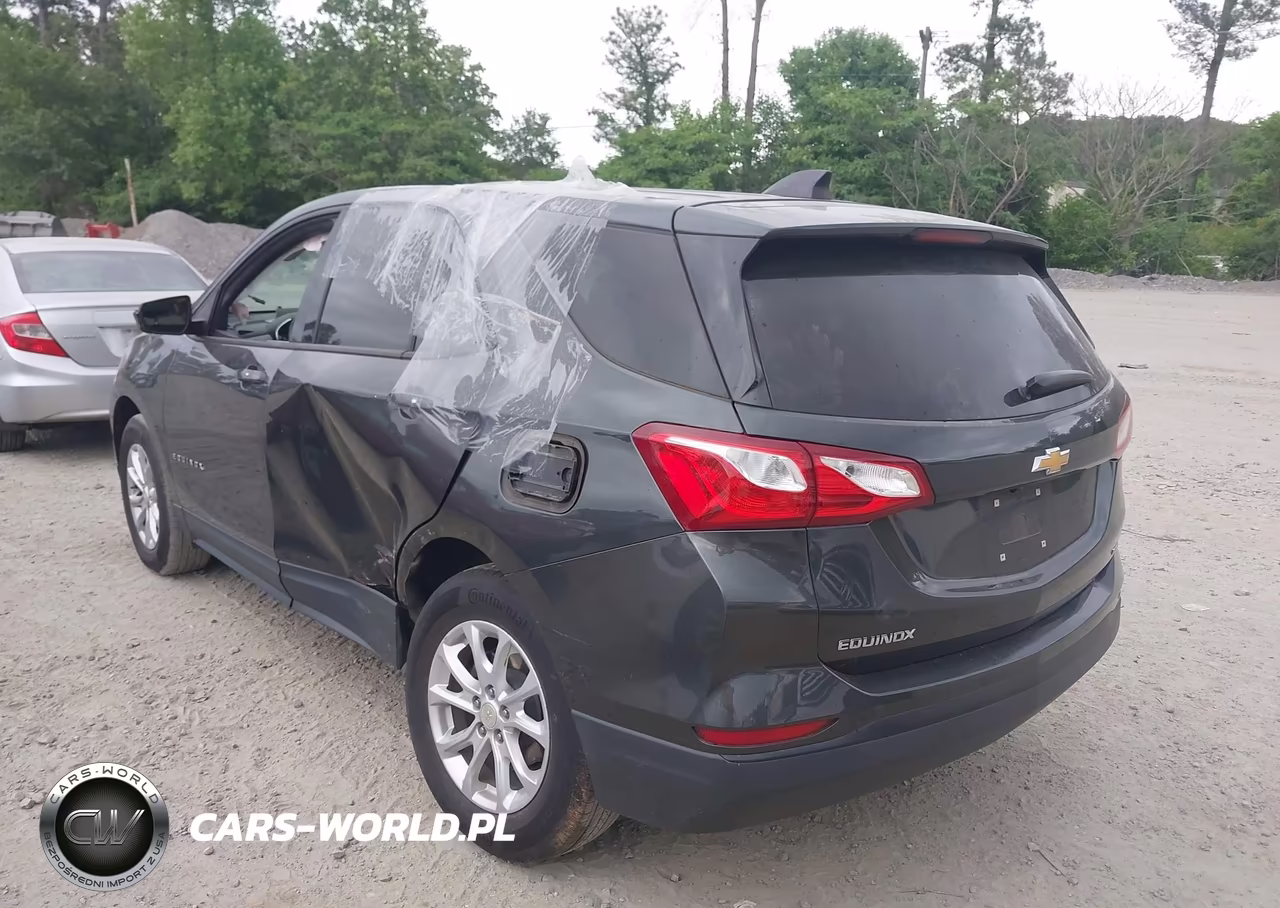 2019 Chevrolet Equinox Ls VIN:3GNAXSEV6KS671143 - 3