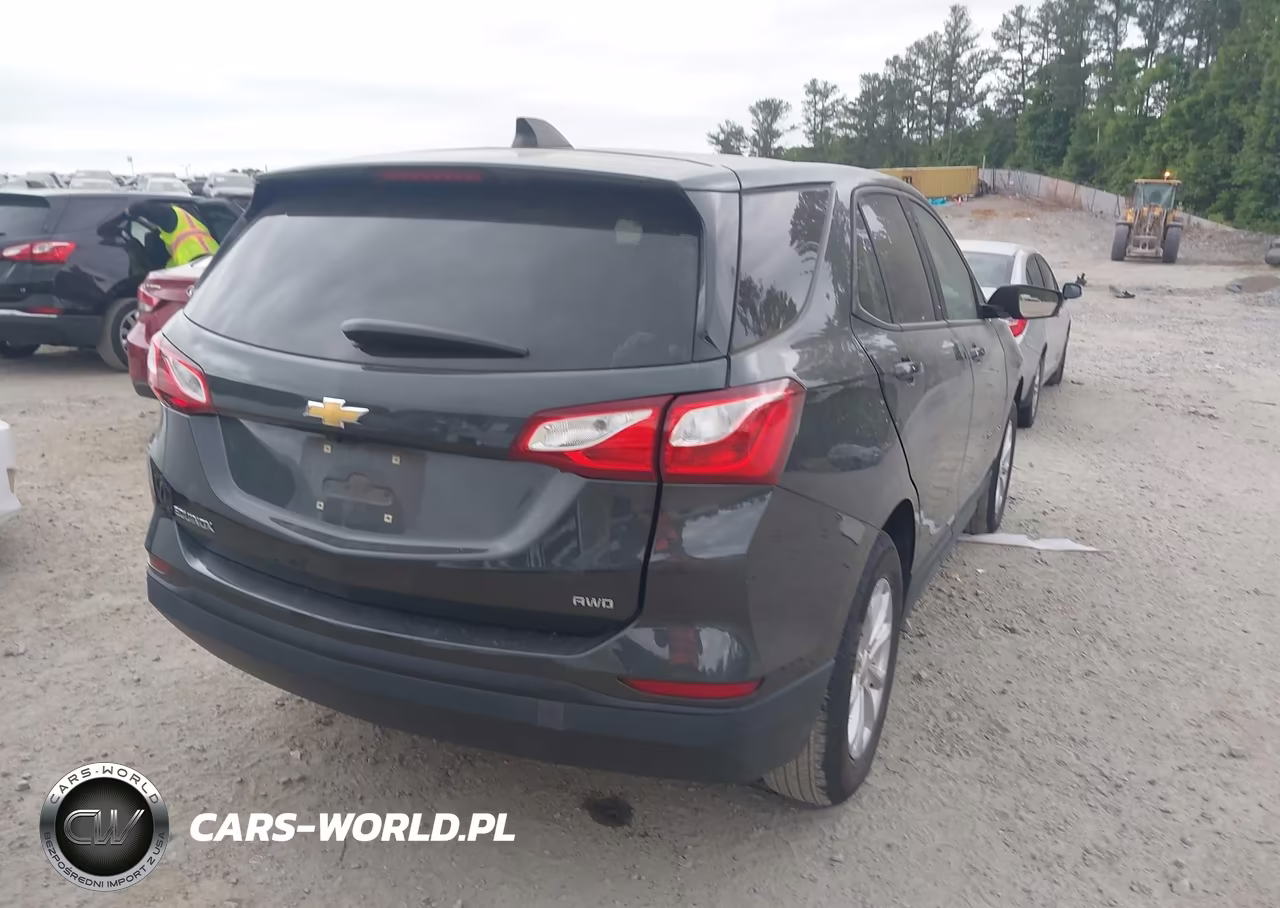 2019 Chevrolet Equinox Ls VIN:3GNAXSEV6KS671143 - 4