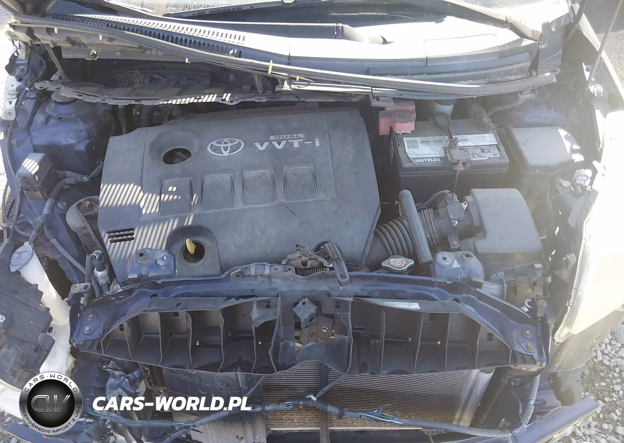 2009 Scion Xd VIN:JTKKU10449J045304 - 10