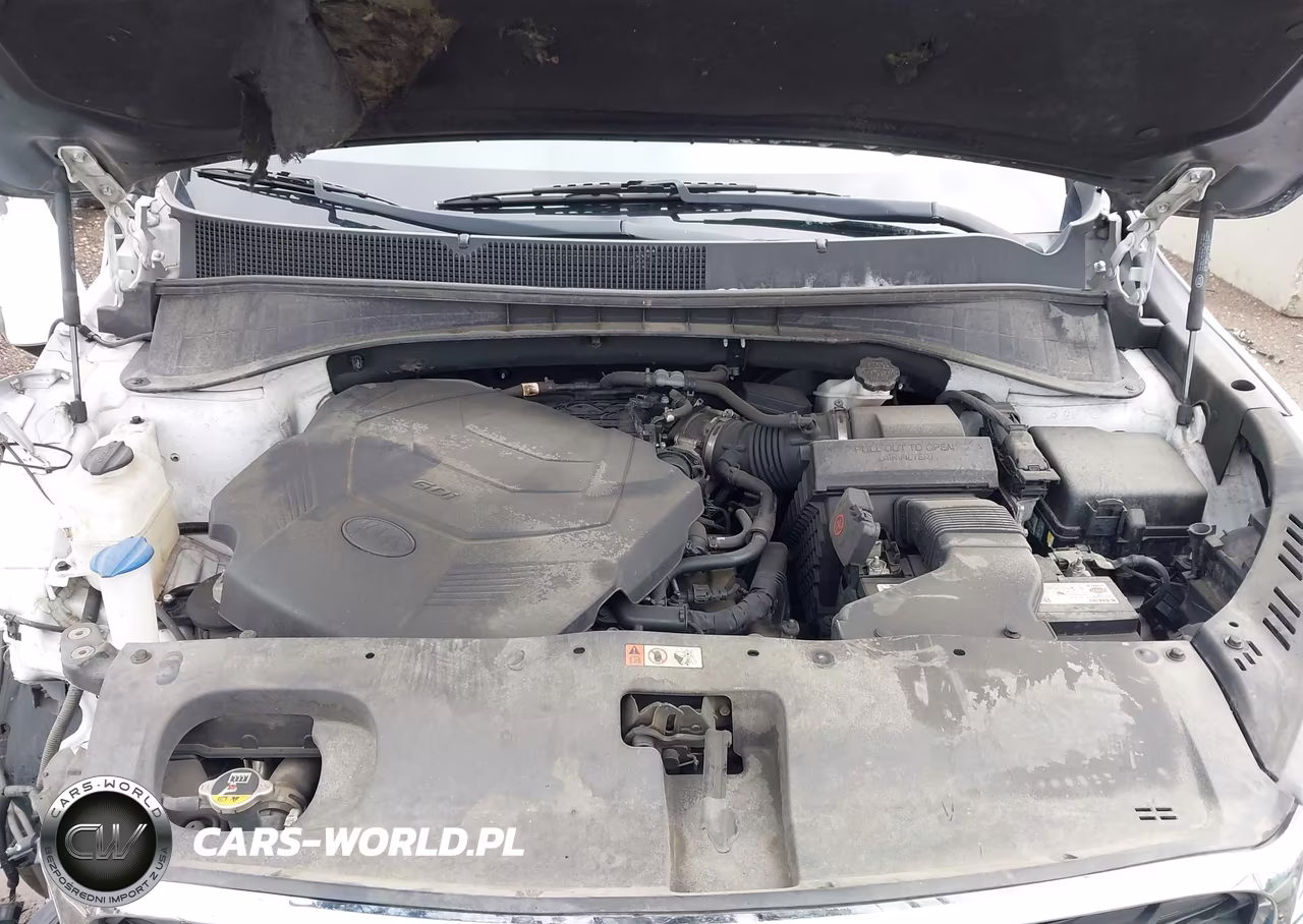 2019 Kia Sorento 3.3L Lx VIN:5XYPGDA52KG565231 - 10