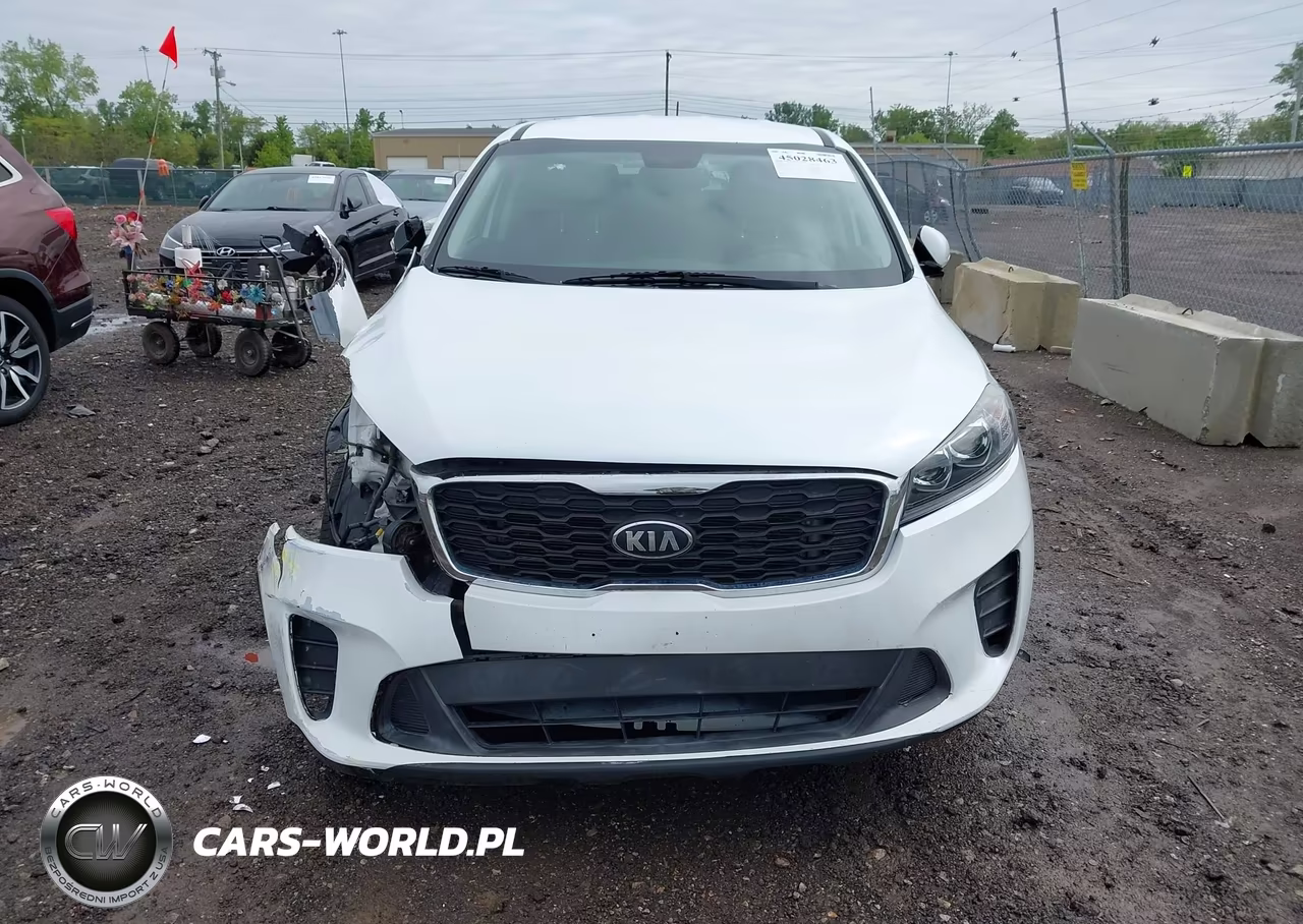 2019 Kia Sorento 3.3L Lx VIN:5XYPGDA52KG565231 - 12