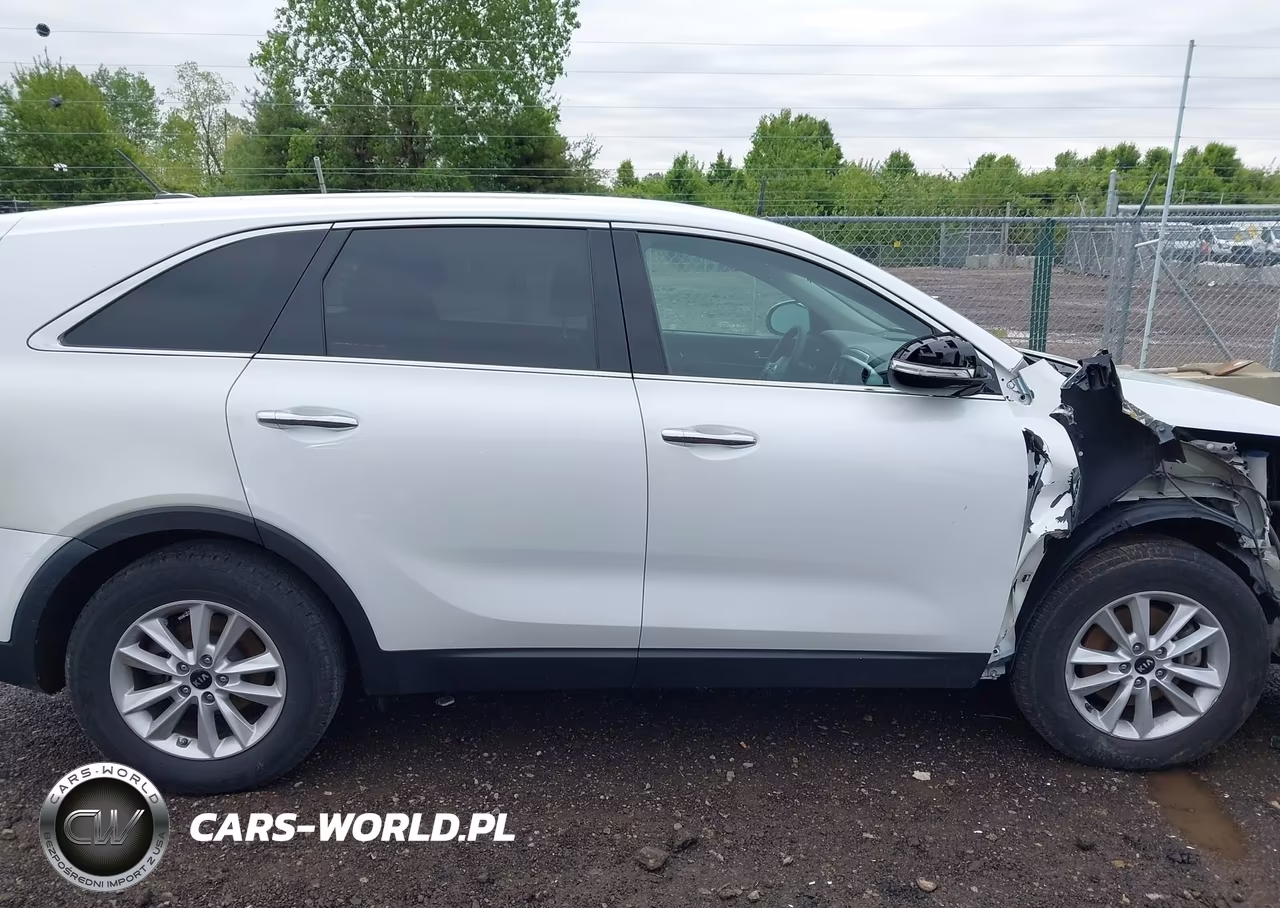 2019 Kia Sorento 3.3L Lx VIN:5XYPGDA52KG565231 - 13