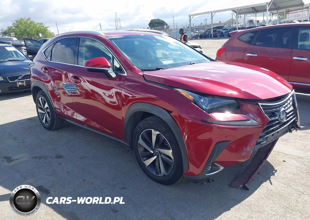 2019 Lexus Nx 300H