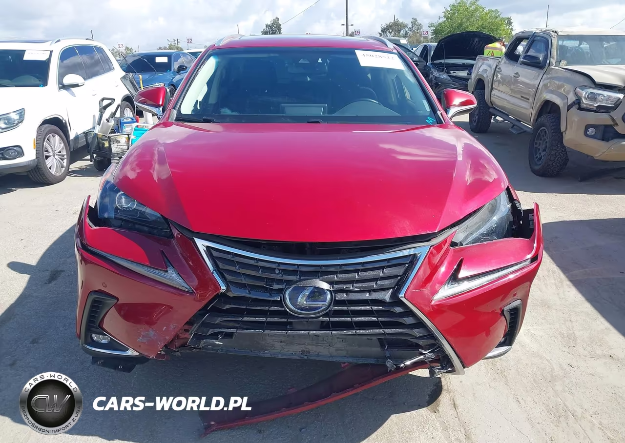 2019 Lexus Nx 300H VIN:JTJBJRBZ9K2118767 - 12
