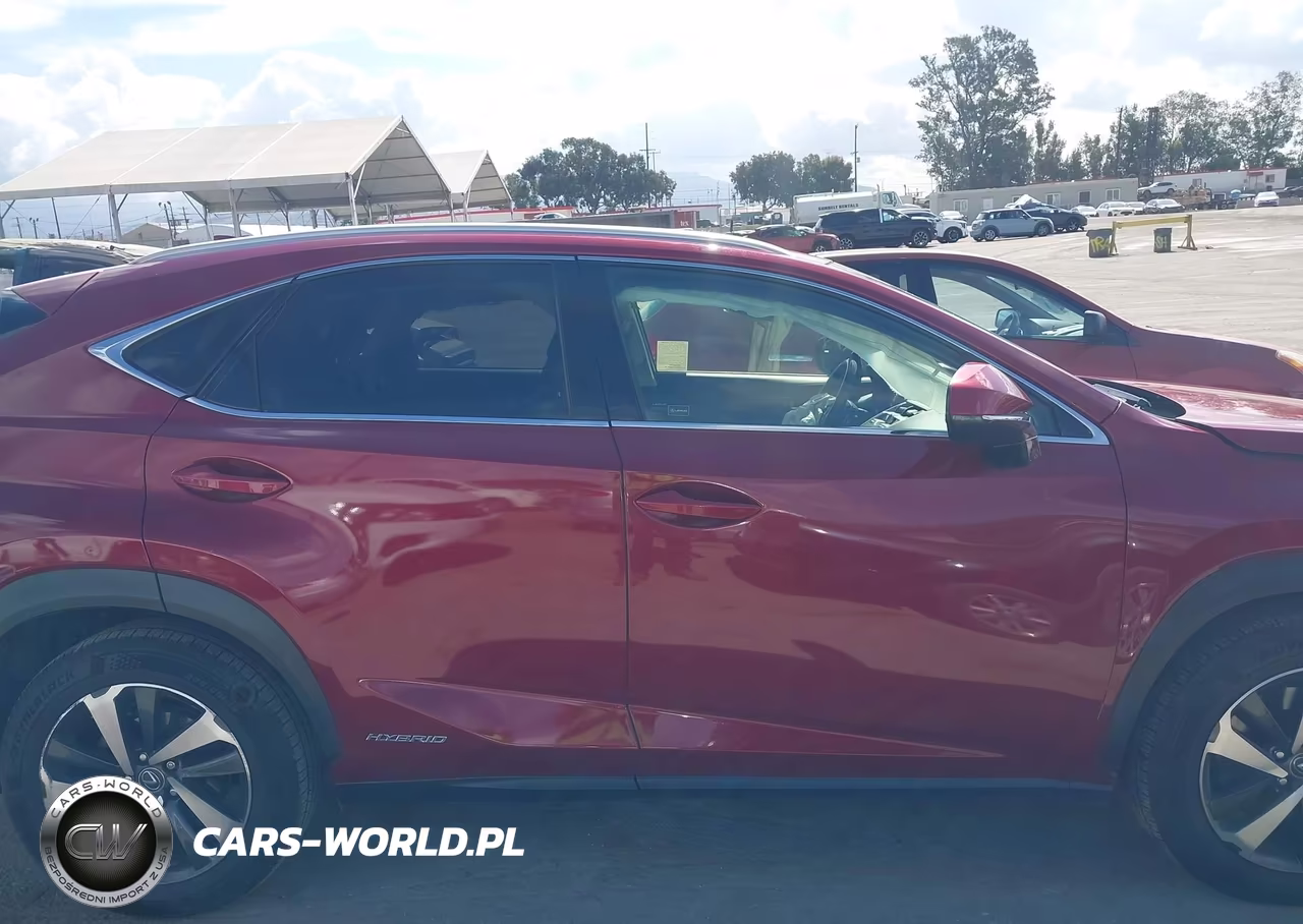 2019 Lexus Nx 300H VIN:JTJBJRBZ9K2118767 - 13
