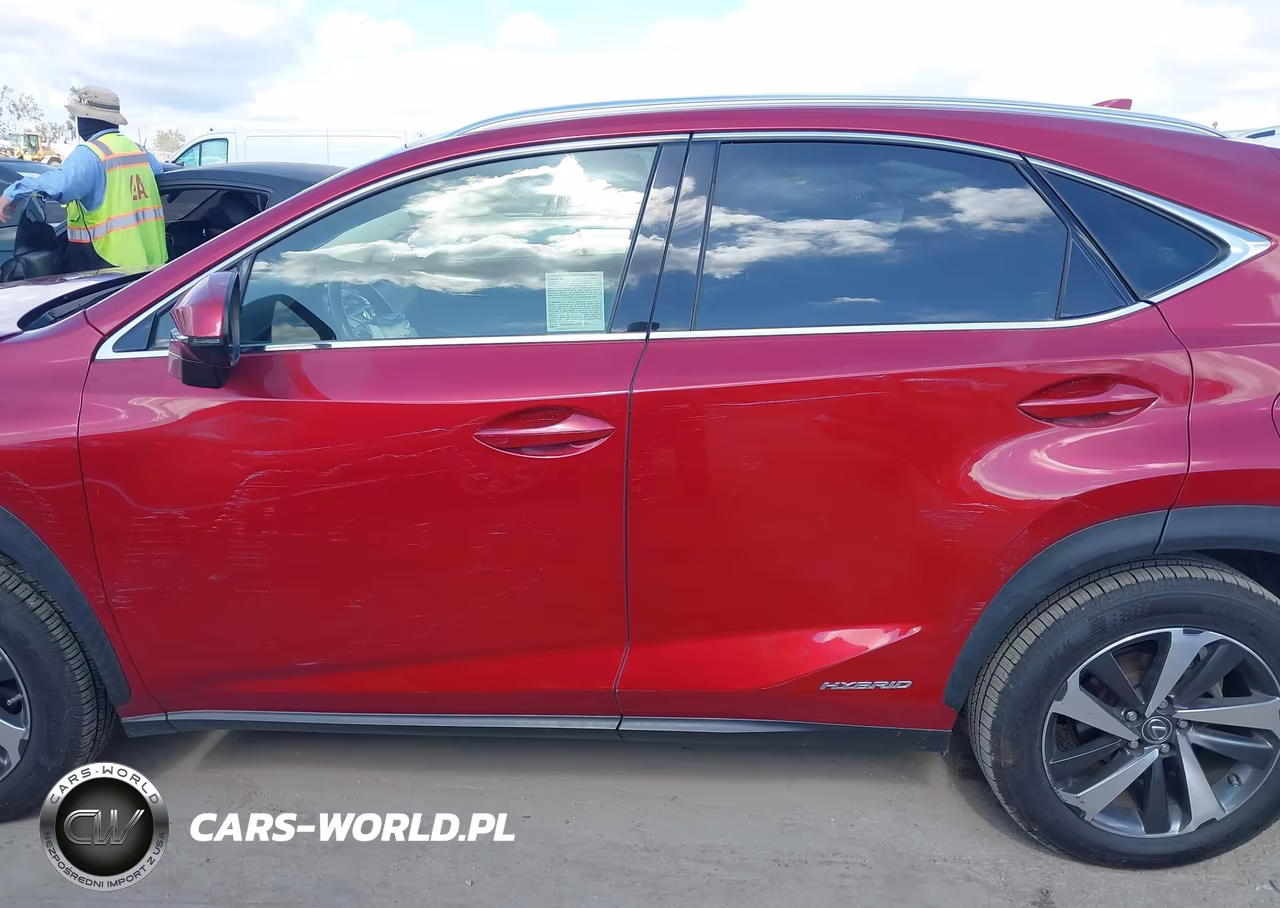 2019 Lexus Nx 300H VIN:JTJBJRBZ9K2118767 - 14