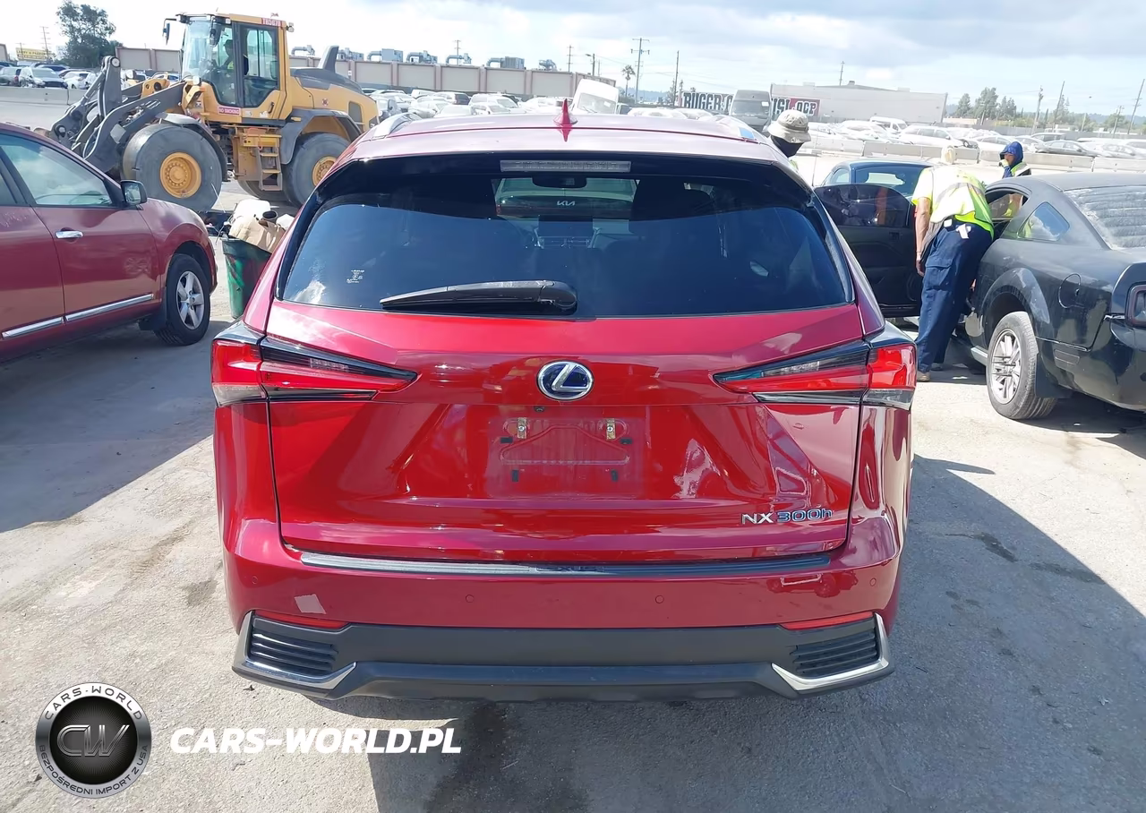 2019 Lexus Nx 300H VIN:JTJBJRBZ9K2118767 - 16