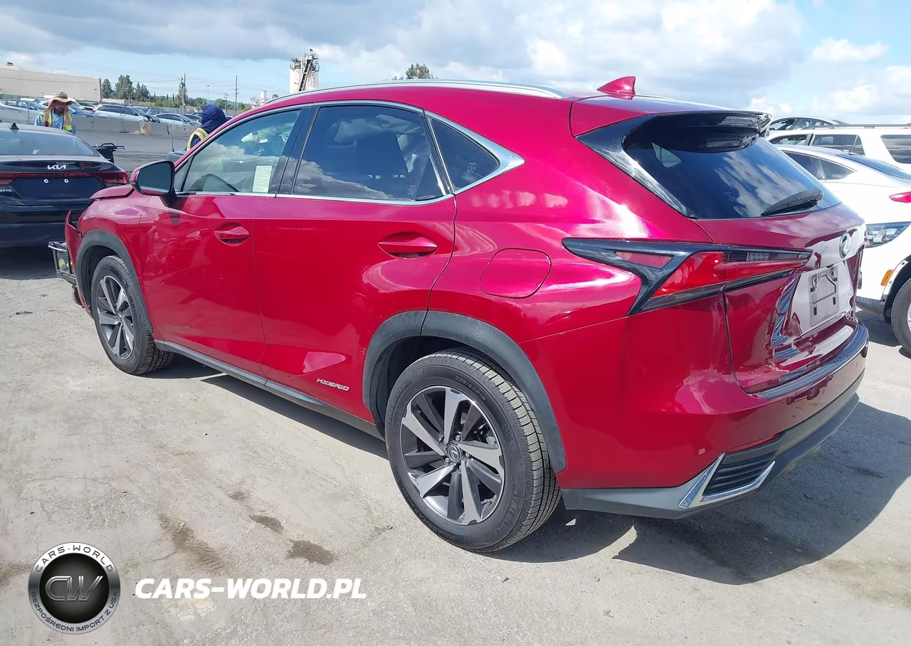 2019 Lexus Nx 300H VIN:JTJBJRBZ9K2118767 - 3
