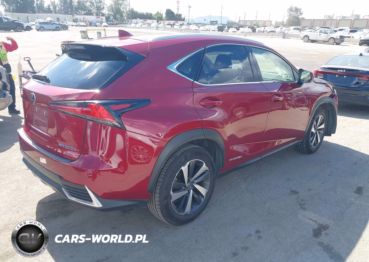 2019 Lexus Nx 300H VIN:JTJBJRBZ9K2118767 - 4