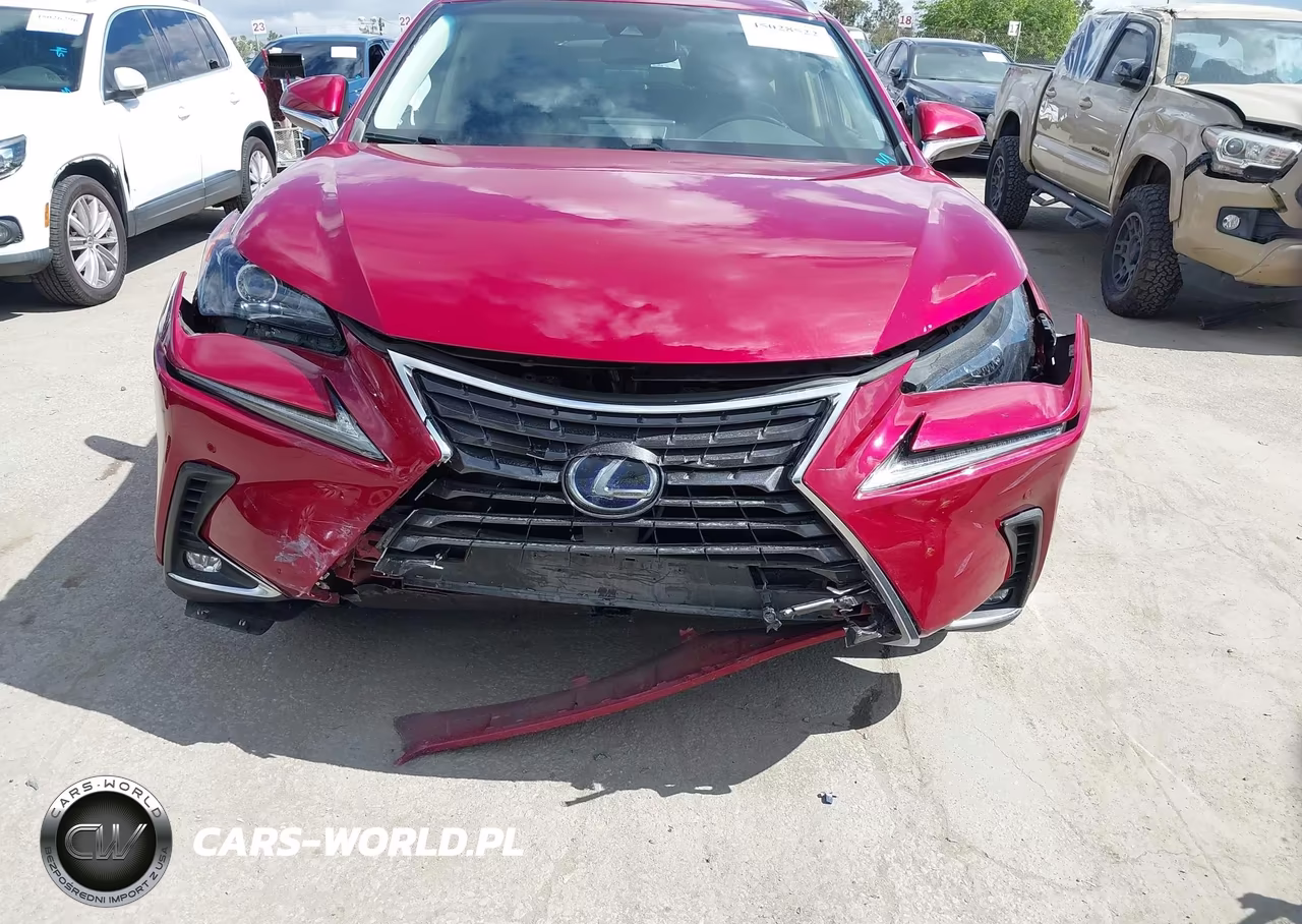 2019 Lexus Nx 300H VIN:JTJBJRBZ9K2118767 - 6
