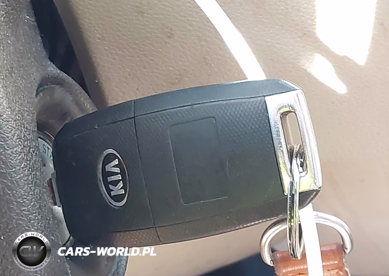 2017 Kia Sorento 2.4L Lx VIN:5XYPGDA3XHG255626 - 11