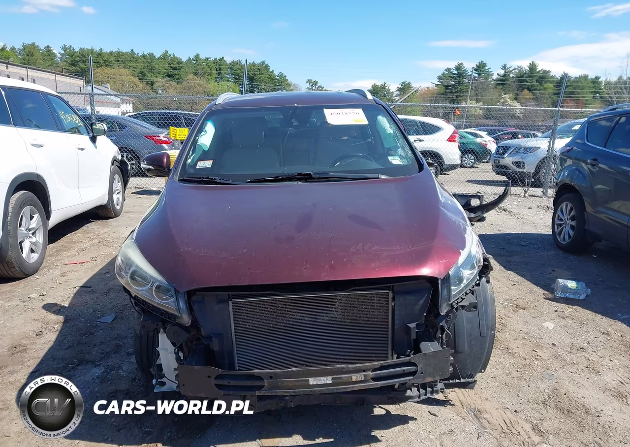 2017 Kia Sorento 2.4L Lx VIN:5XYPGDA3XHG255626 - 13