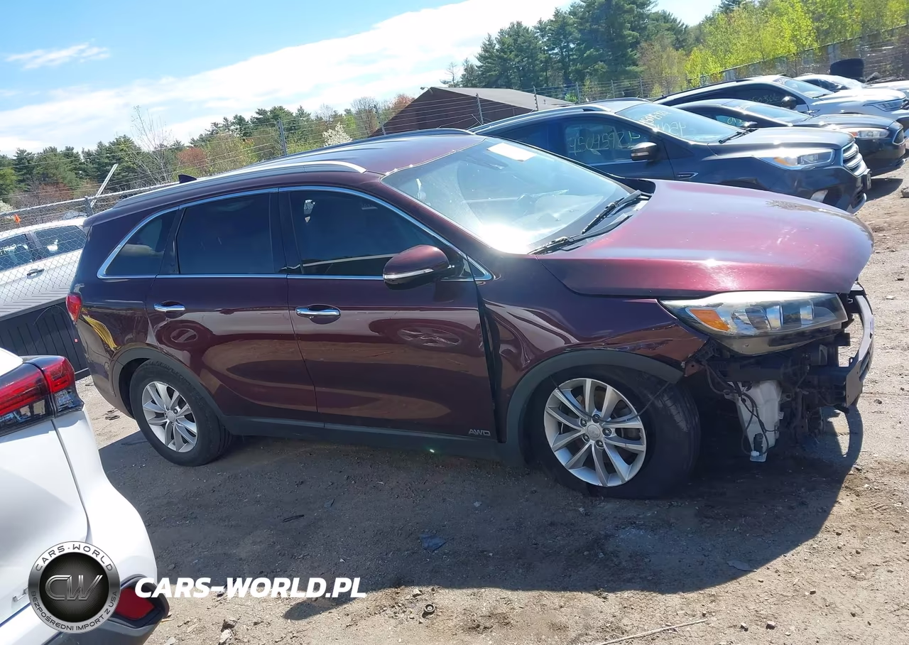 2017 Kia Sorento 2.4L Lx VIN:5XYPGDA3XHG255626 - 14