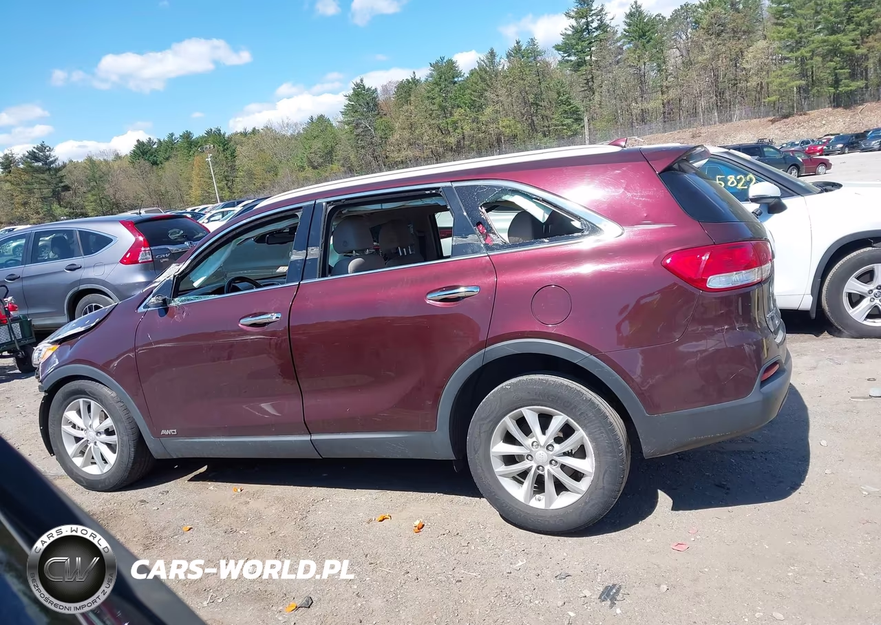2017 Kia Sorento 2.4L Lx VIN:5XYPGDA3XHG255626 - 15