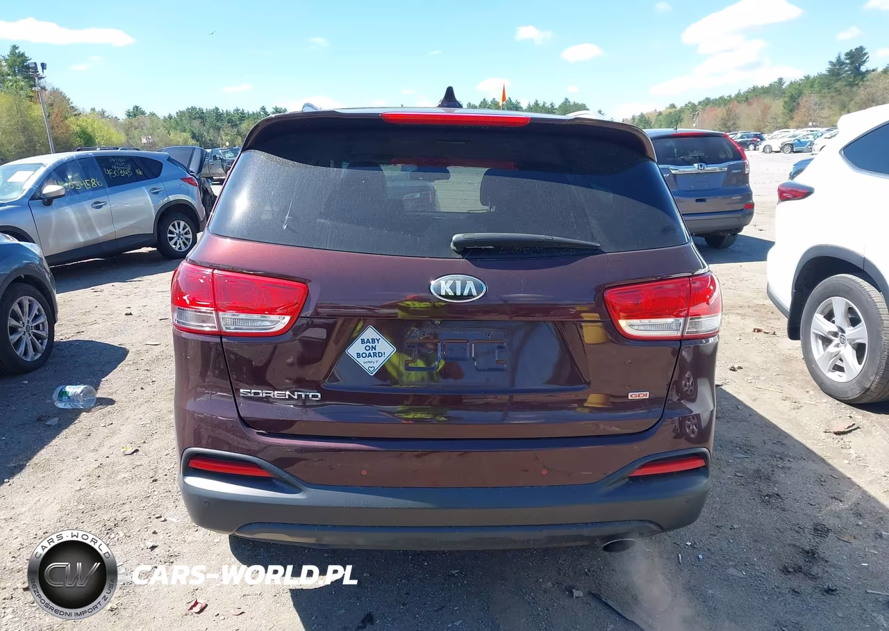 2017 Kia Sorento 2.4L Lx VIN:5XYPGDA3XHG255626 - 17