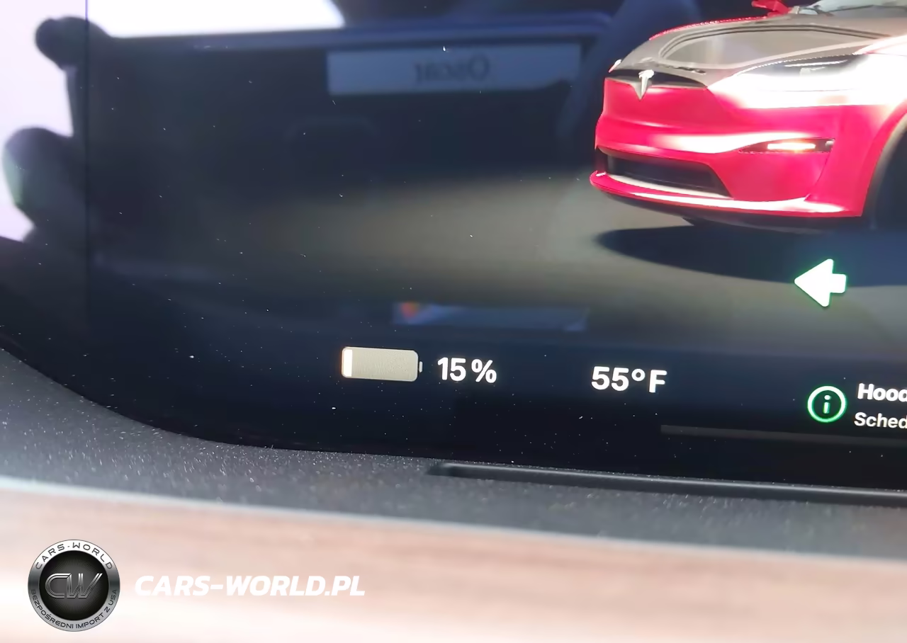 2025 Tesla Model X Long Range VIN:7SAXCAE52SF469744 - 18