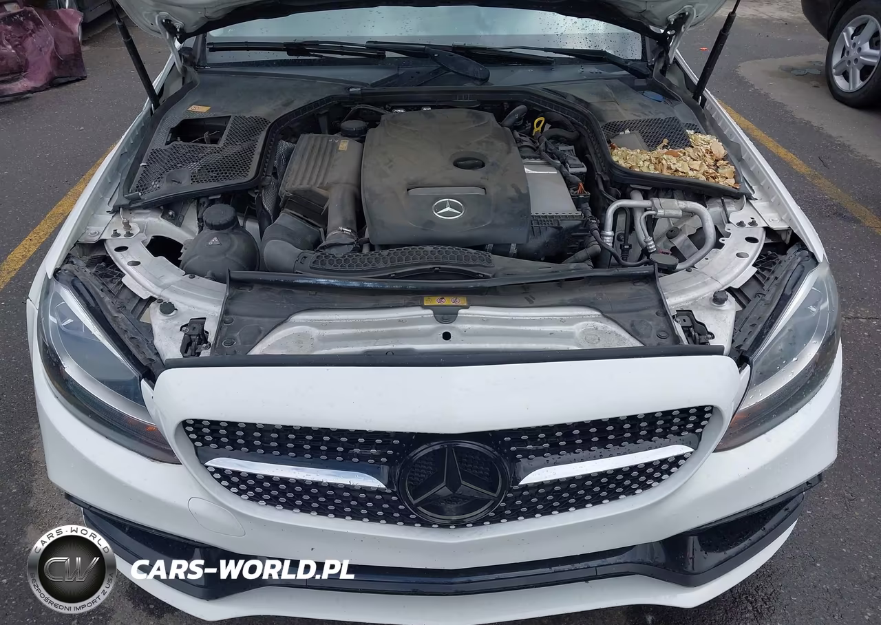 2016 Mercedes-Benz C-Class C 300 VIN:55SWF4KB0GU128554 - 10
