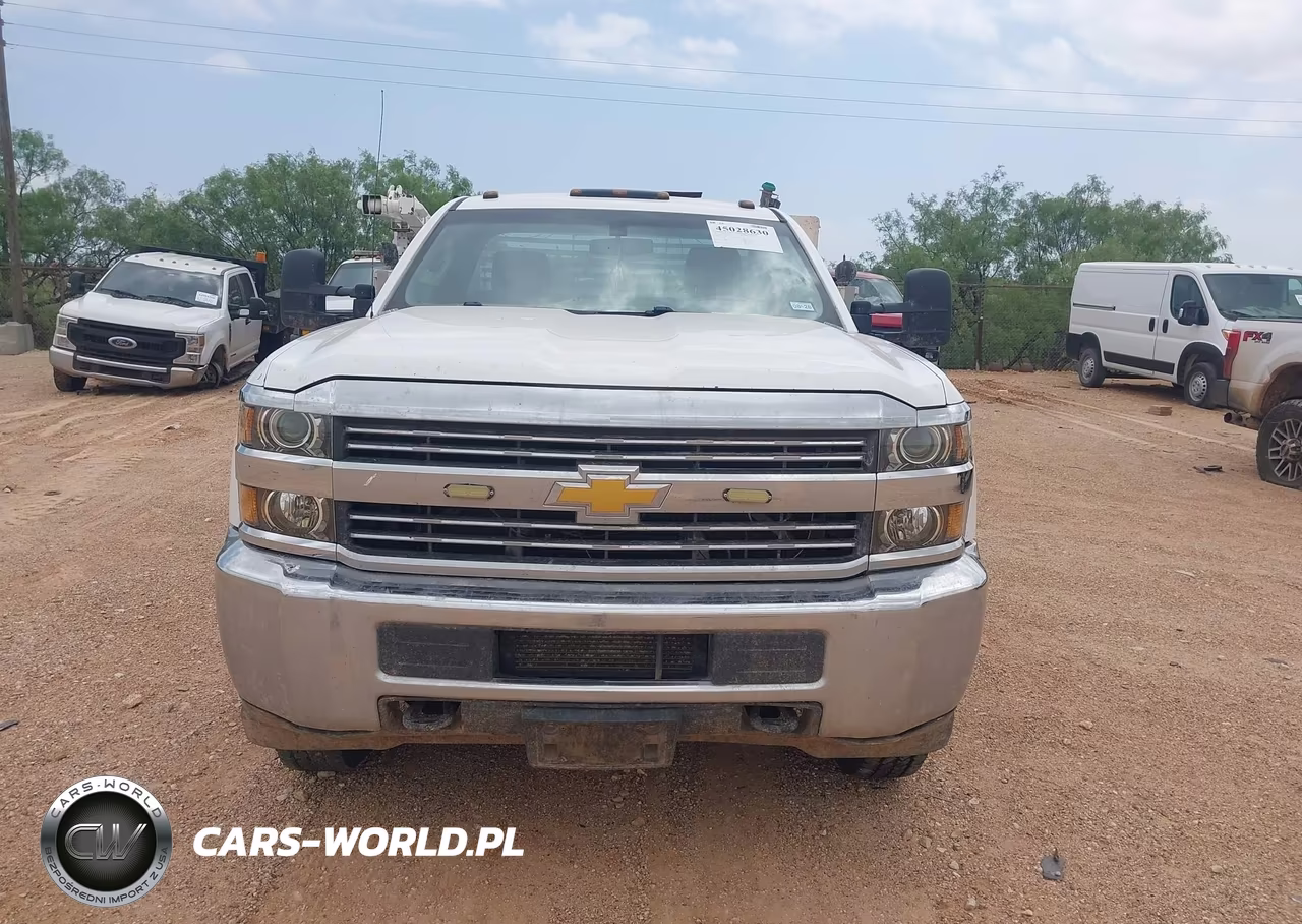 2015 Chevrolet Silverado 3500Hd Chassis Wt VIN:1GB3KYC89FF194111 - 12