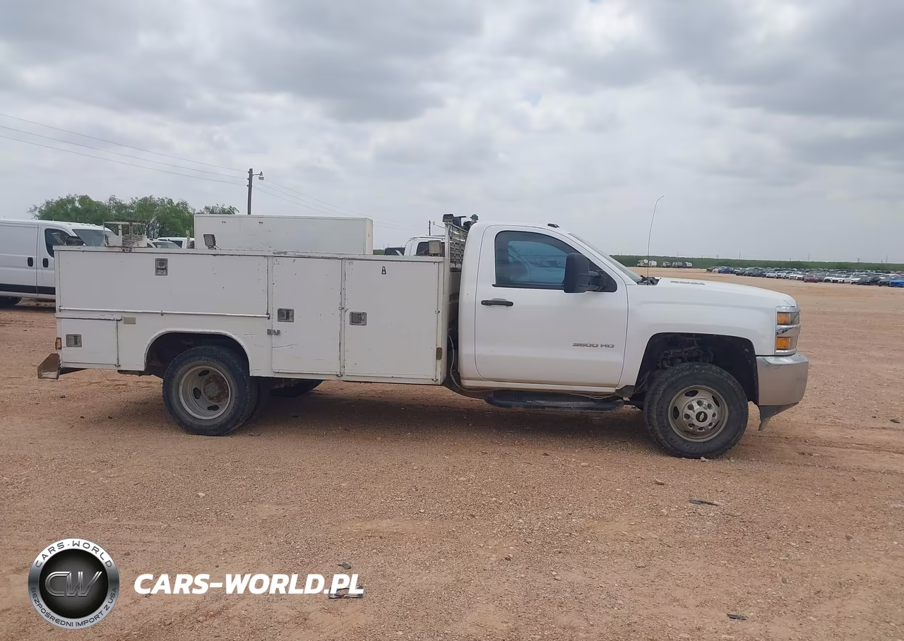 2015 Chevrolet Silverado 3500Hd Chassis Wt VIN:1GB3KYC89FF194111 - 13
