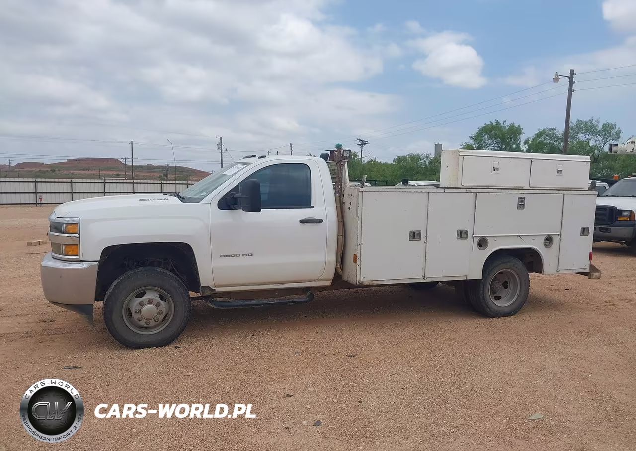 2015 Chevrolet Silverado 3500Hd Chassis Wt VIN:1GB3KYC89FF194111 - 14