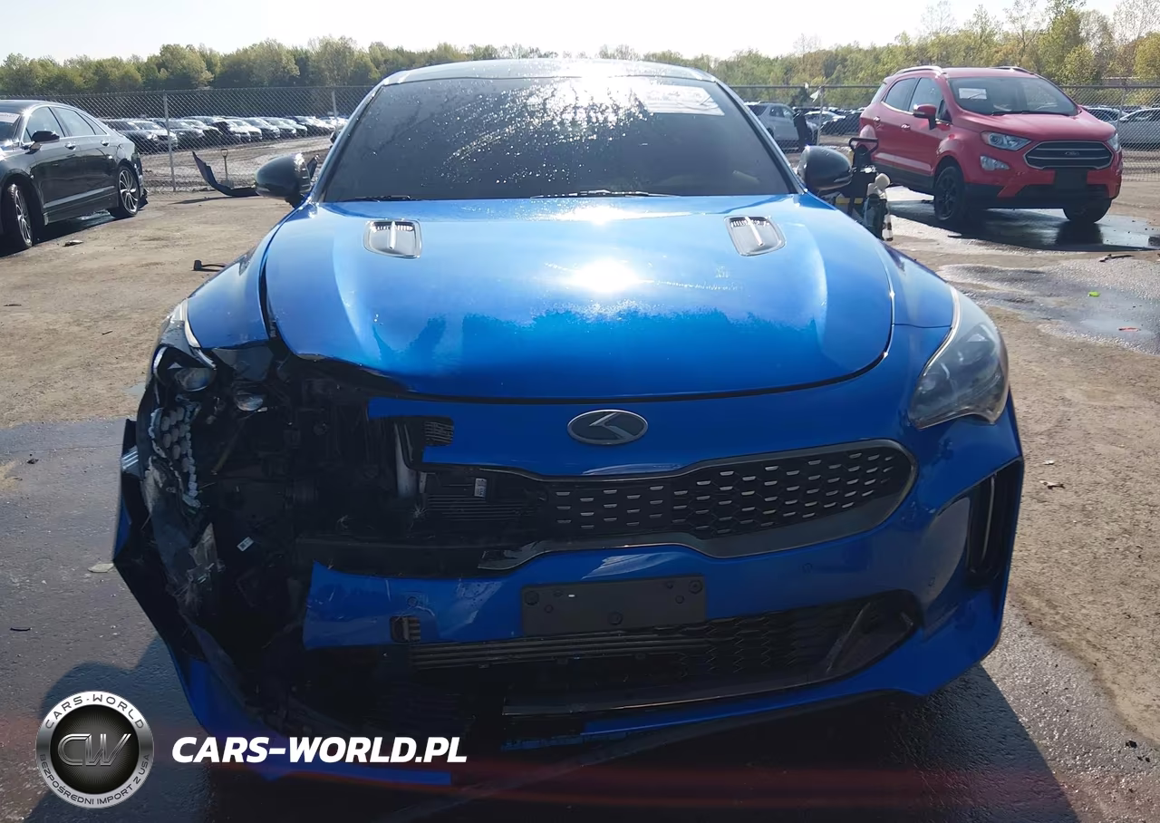 2018 Kia Stinger Gt1 VIN:KNAE45LC9J6030591 - 12